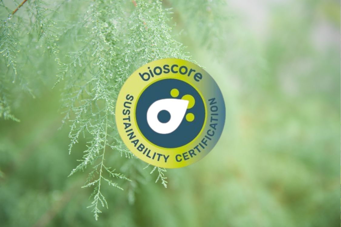 Reconocimiento a nuestras acciones: Certificado Bioscore