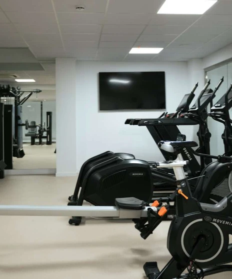 Bienestar en movimiento