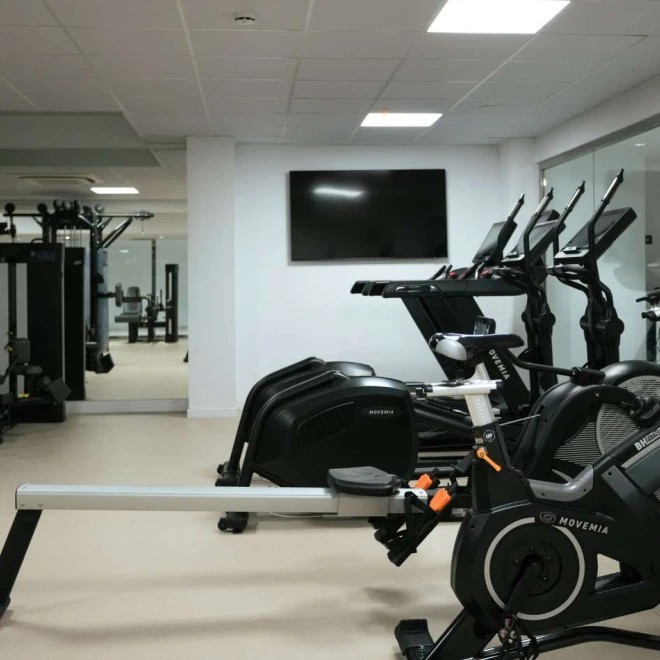 Bienestar en movimiento