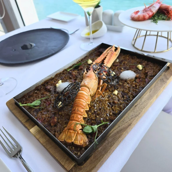 Saveur méditerranéenne dans chaque plat, émotion dans chaque toast