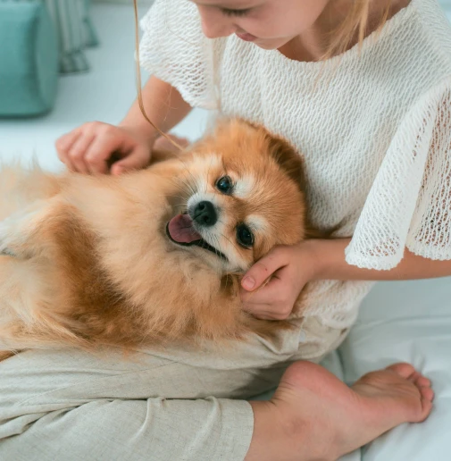 Ven con tu mascota